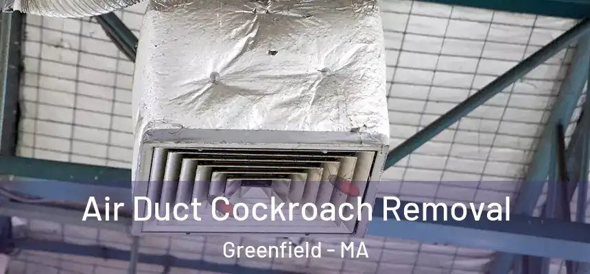  Air Duct Cockroach Removal Greenfield - MA