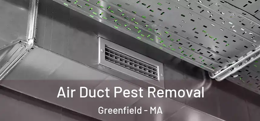 Air Duct Pest Removal Greenfield - MA