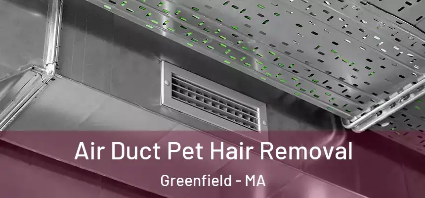 Air Duct Pet Hair Removal Greenfield - MA