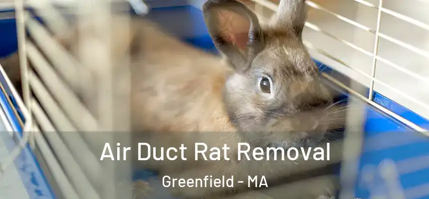 Air Duct Rat Removal Greenfield - MA