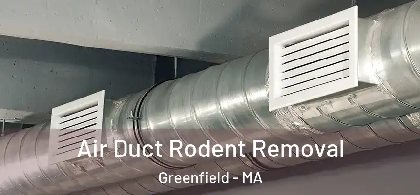 Air Duct Rodent Removal Greenfield - MA