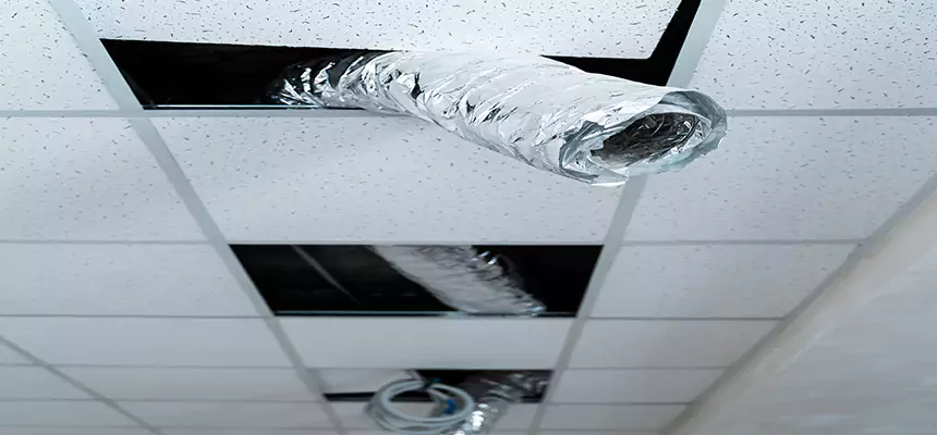 Affordable HVAC Sanitizing After Pest Removal in Greenfield