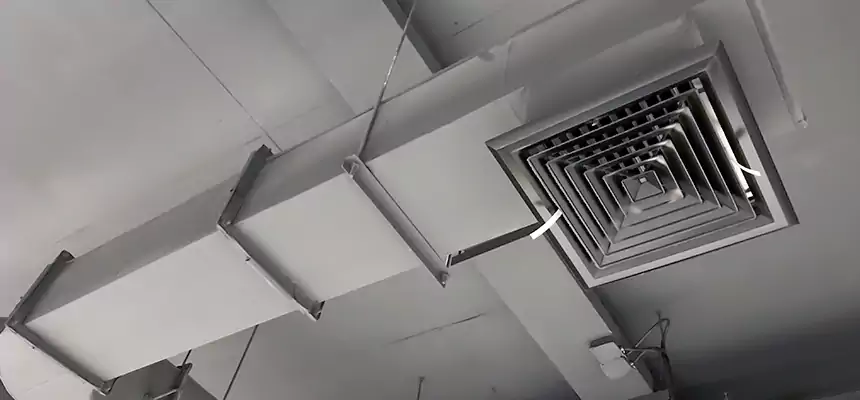 Our Pest Removal From Ducts Services in Greenfield, MA