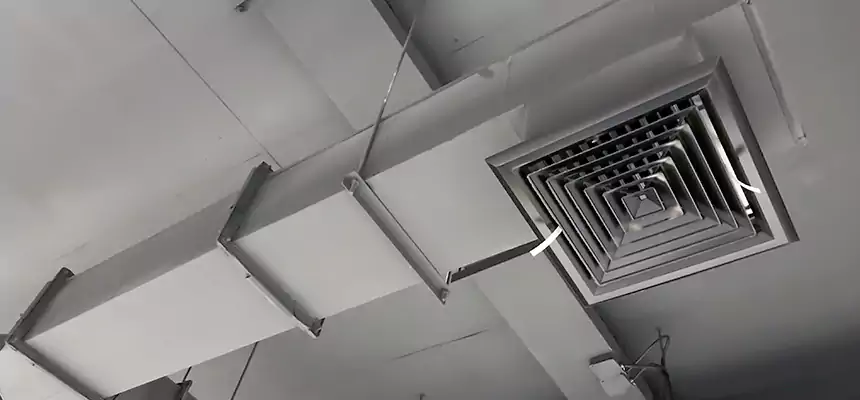 Our Rodent Droppings In Vents Services in Greenfield, MA