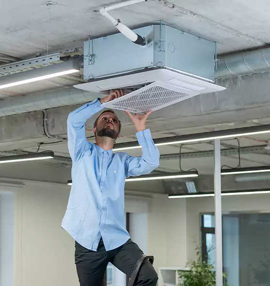 Advanced Rodent Droppings In Vents in Greenfield, MA