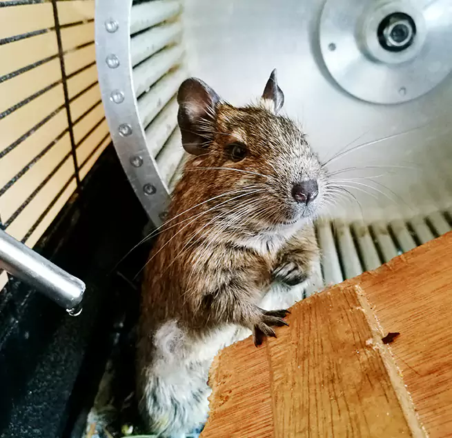 Why Homeowners & Businesses Trust Us Greenfield, MA