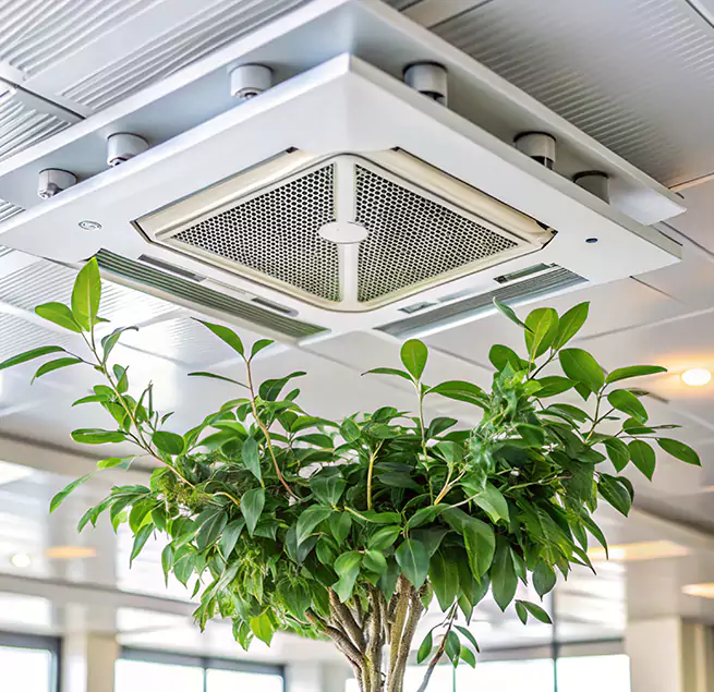 Why Homeowners & Businesses Trust Us in Greenfield, MA